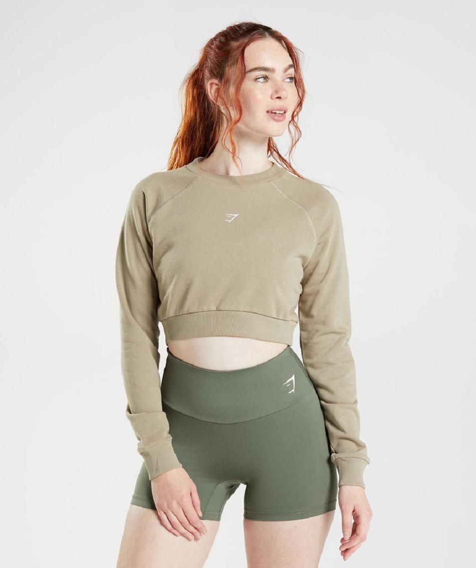 Accessories Damskie Gymshark Treningowe Cropped Swetry Brązowe | PL 2528XYU